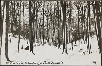 Winter Scene, Ft. Washington Park, New York.