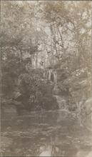 [Four views of Central Park.]