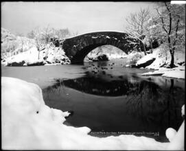 Central Park Snow Scene