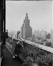 [Rooftop gardens.]