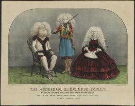 The Wonderful Eliophobus Family.