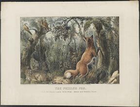 The Puzzled Fox: Find the Horse, Lamb, Wild Boar, Mens and Womens Faces