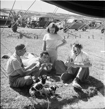 Circus [Group playing cards, one is dressed like a clown.]