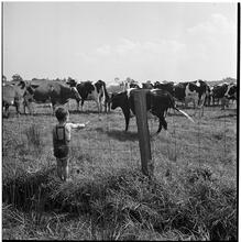 [Farm.]