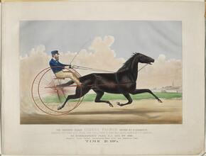 The Trotting Horse George Palmer Driven by C. Champlin.