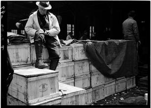 Fulton Fish Market: Packing for Retail 2.