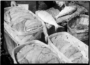 Fulton Fish Market: Cleaning Fish 3.