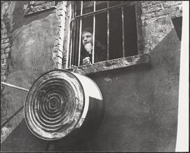 Boy in Window.