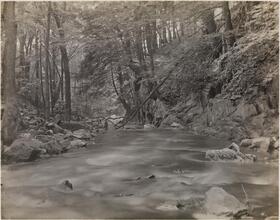 [Bronx River.]