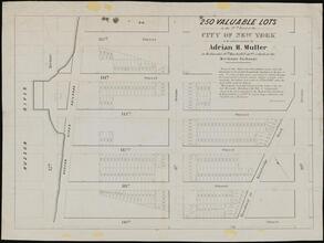 250 Valuable Lots in the 12th Ward of the City of New York, to be Sold at Auction by Adrian H. Muller on Wednesday 10th March at 12 o'clock at the Merchants' Exchange