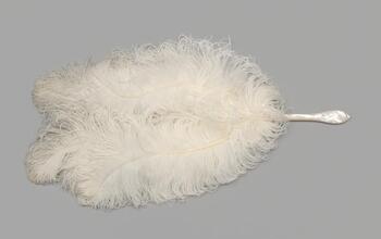 Fixed feather fan of white ostrich
