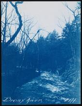 [Bronx River.]