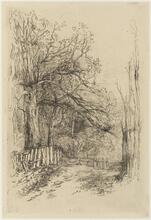Somerindyke Lane