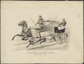 Trotting on the Road.