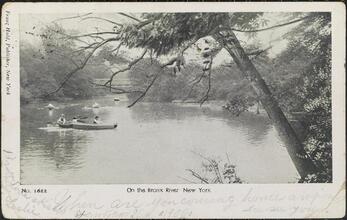 On the Bronx River, New York.