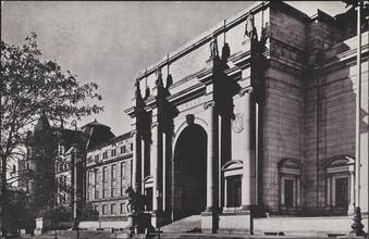 American Museum of Natural History