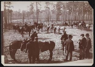 Park in the Pines, Aiken S.C.