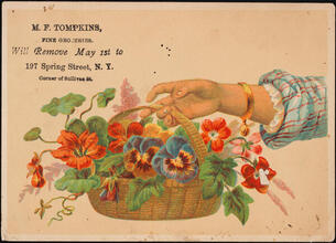 M. F. Tompkins, Fine Groceries