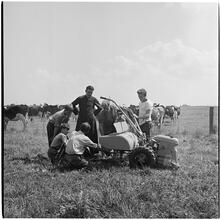 [Boys around a lawn mower.]