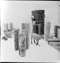 Salvador Dali: Rugs [Lamb in a display of rugs and materials that rugs contain.]