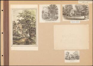 Convent Avenue & 142 Street [Collect Pond to Fulton Street]