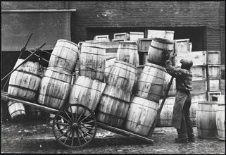 [Fulton Fish Market.]