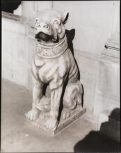 Italian stone dog in front of Olivottis, Madison Ave.