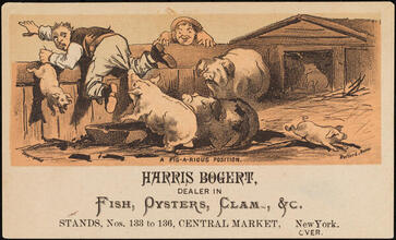 Harris Bogert
