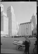 New York City views. Peanut vendor and [Grand Army] Plaza at 59th Street.