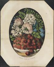 Summer Fruits and Flowers.