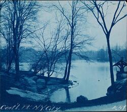 [Central Park.]