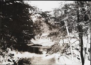 [Falls of the Bronx River.]