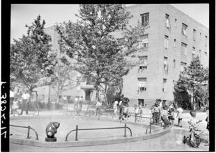 Children in the Playground of a Harlem Housing Project.