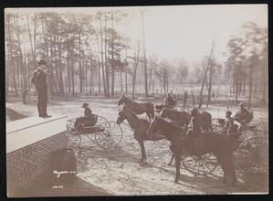 Park in the Pines, Aiken S.C.
