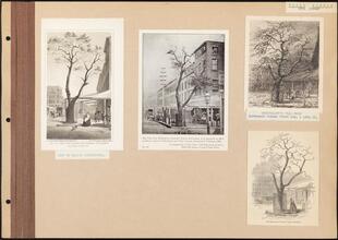 Third Avenue and 13th Street [First Avenue to Third Avenue]