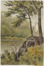 Bronx Park, Bronx River