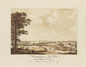 View of the City of New York from Mount Pitt