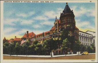 American Museum of Natural History, New York City