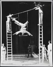[Acrobats on ladders and trapeze.]