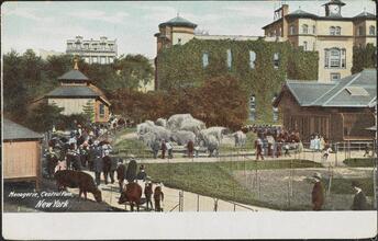 Menagerie, Central Park, New York.