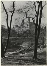 Central Park West Building between two trees