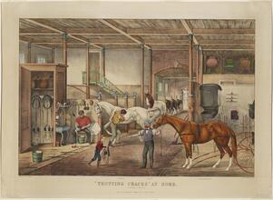 "Trotting Cracks" at Home.