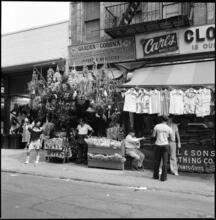 [Flower shop, 172 Orchard Street.]