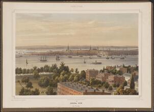 General View (from Brooklyn)