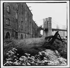 [Looking west across the grounds of the Empire Stores, 53-83 Water Street.]