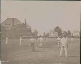Cricket, Bergen Point.