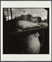 Anthony Coppola, Room 4B, Sunshine Hotel