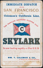 The Popular Extreme Clipper Ship Skylark