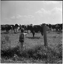 [Farms.]