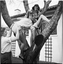 Betsy Von Furstenberg [Climbing a tree.]